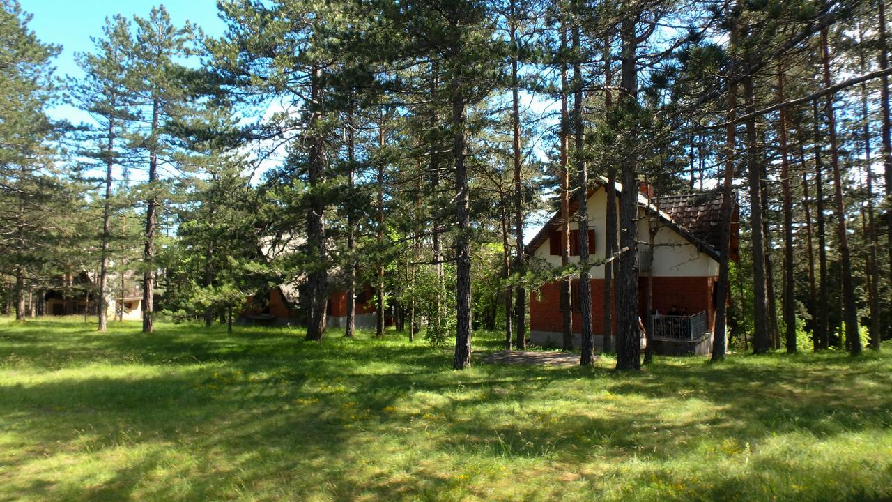Rustic Home Tara Kaludjerske Bare Kültér fotó